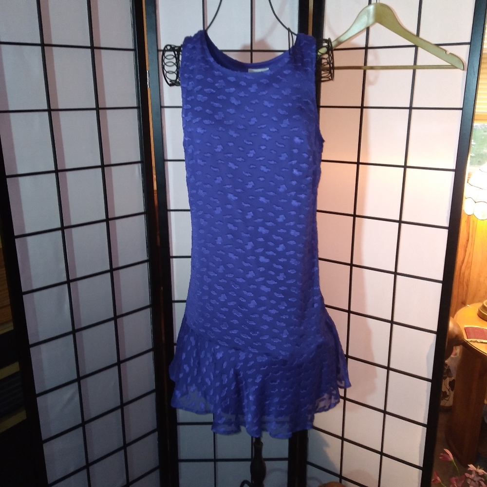28A. NWT - Ann Taylor LOFT Flapper Dress